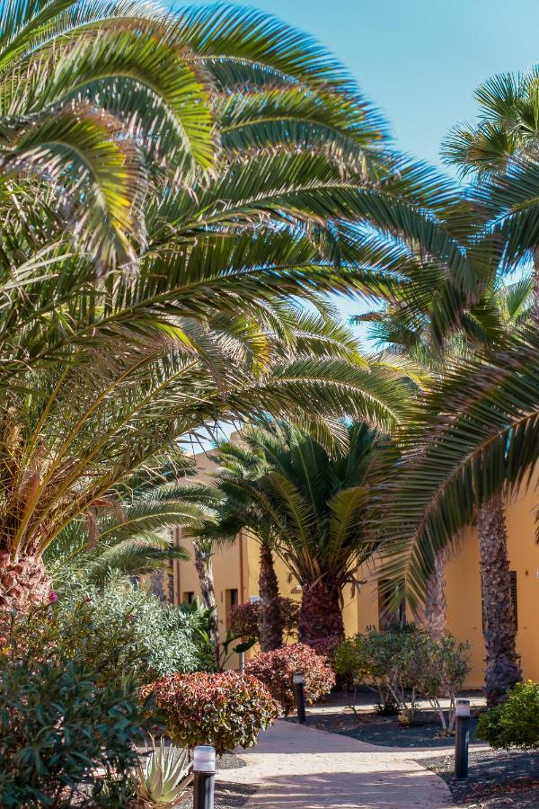 Fuerteventurapartments Corralejo Buitenkant foto