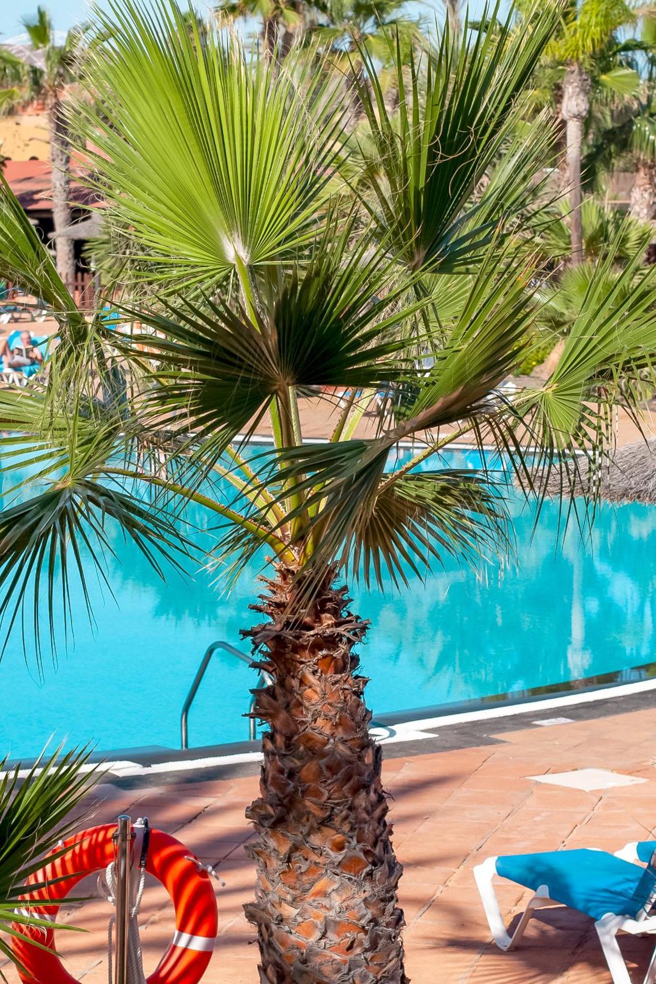 Fuerteventurapartments Corralejo Buitenkant foto